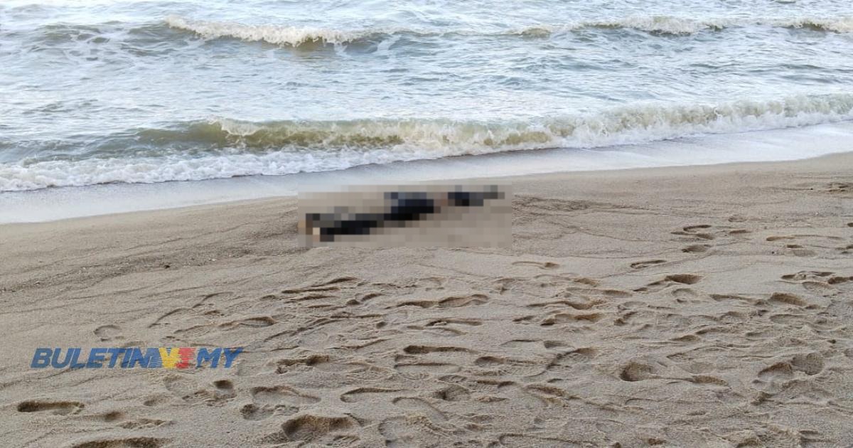 [VIDEO] Mayat wanita ditemui terkambus di Pantai Puteri 