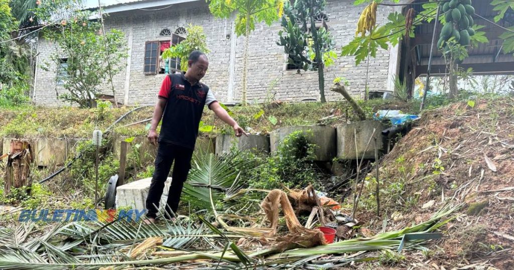 [VIDEO] Penduduk Bimbang, Gajah Liar Dah Mula Masuk Ke Kawasan Rumah ...