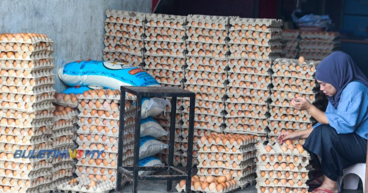 Peniaga dakwa bekalan telur ayam di Kelantan kurang
