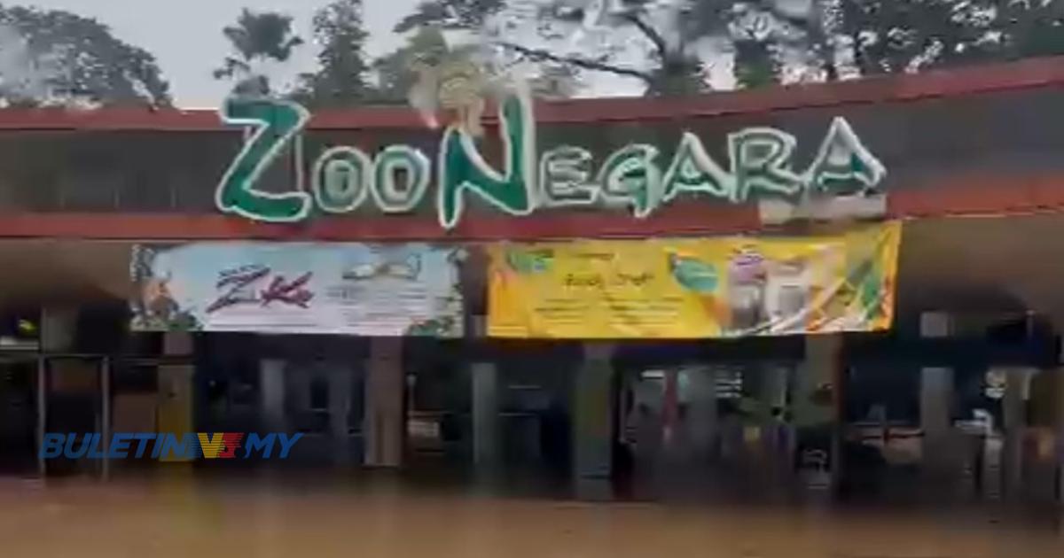 Banjir Kilat : Zoo Negara rugi ratusan ribu ringgit