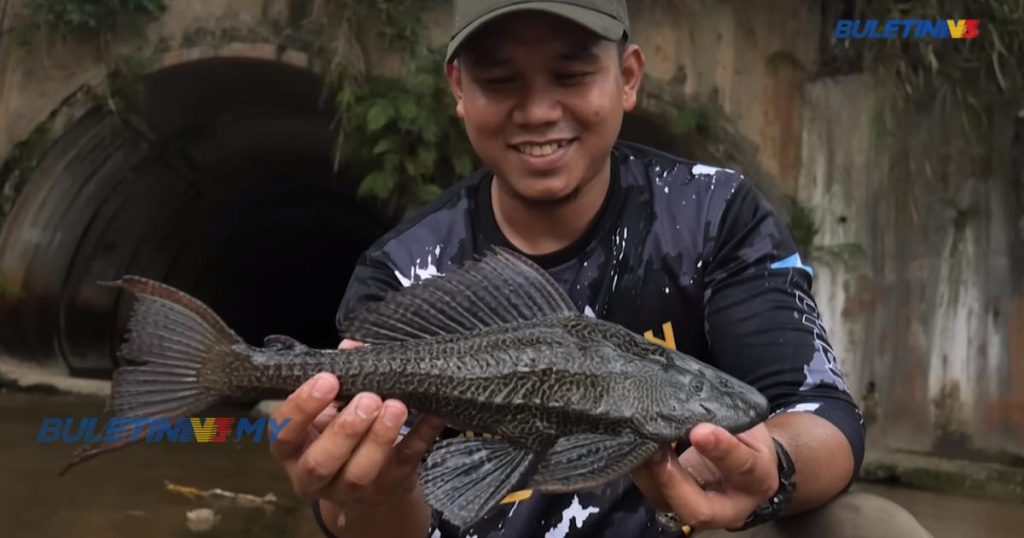 [video] Keenakan Ikan Bandaraya Celup Tepung Buletin Tv3 Malaysia