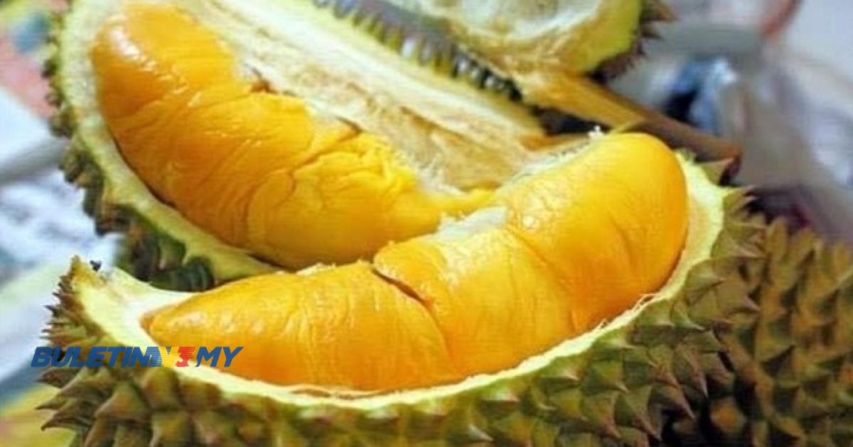 Nilai eksport durian Vietnam cecah lebih RM7 bilion