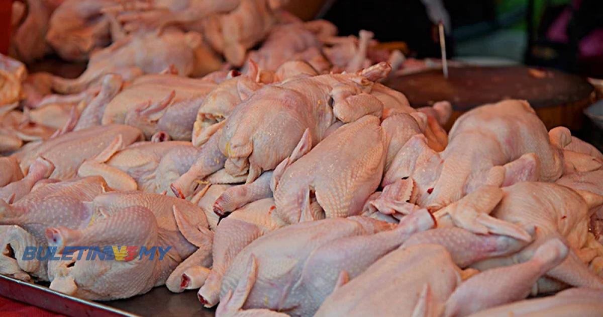 KPDN: Tiada kenaikan harga ayam di pasaran