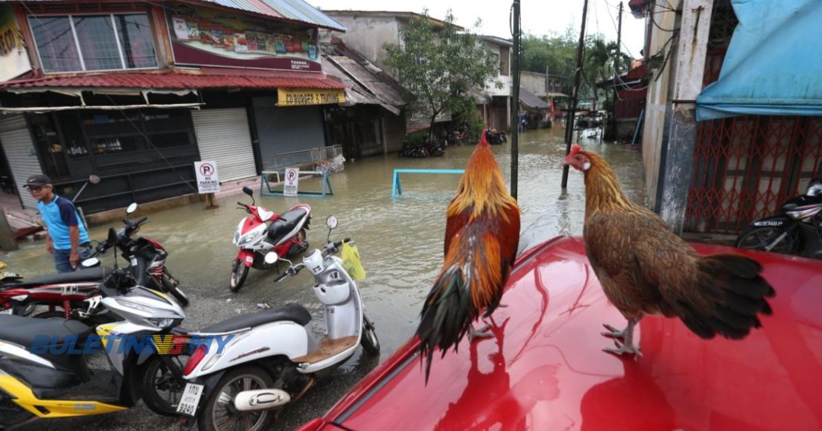Kemaman, Dungun dilanda bah, 3 lagi PPS dibuka di Kelantan