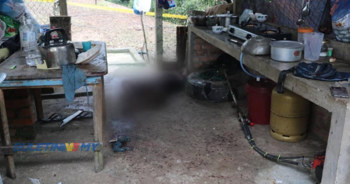 Seorang warga asing ditemui mati dalam kebun durian di Bentong