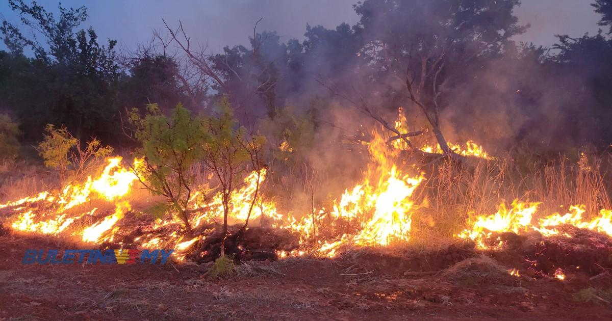 Cuaca panas melampau, pembakaran hutan tingkat kes kebakaran di Sabah 