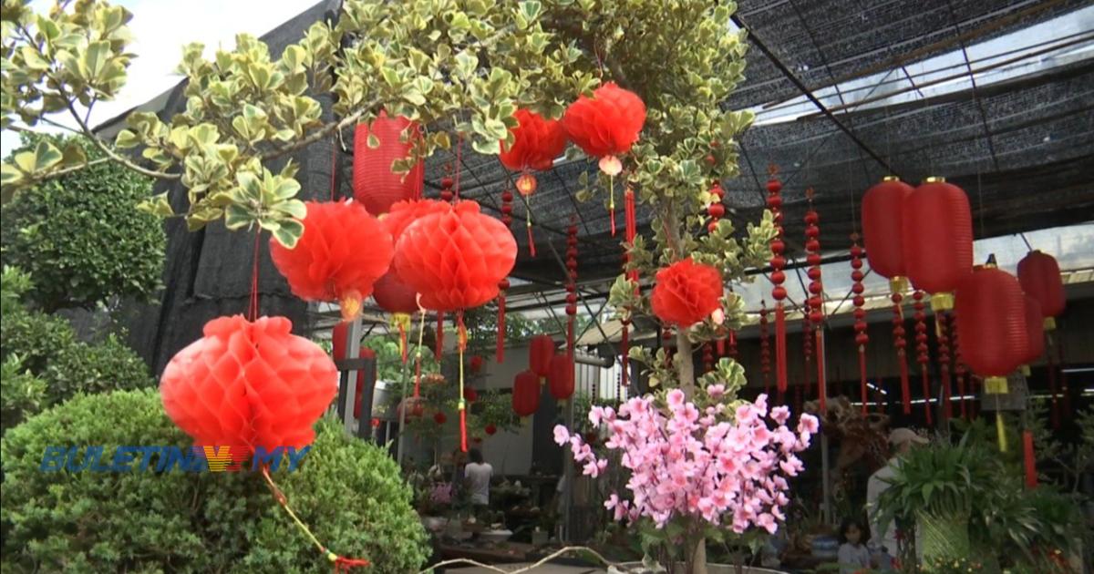 Pokok hiasan bawa keceriaan sambutan Tahun Baharu Cina