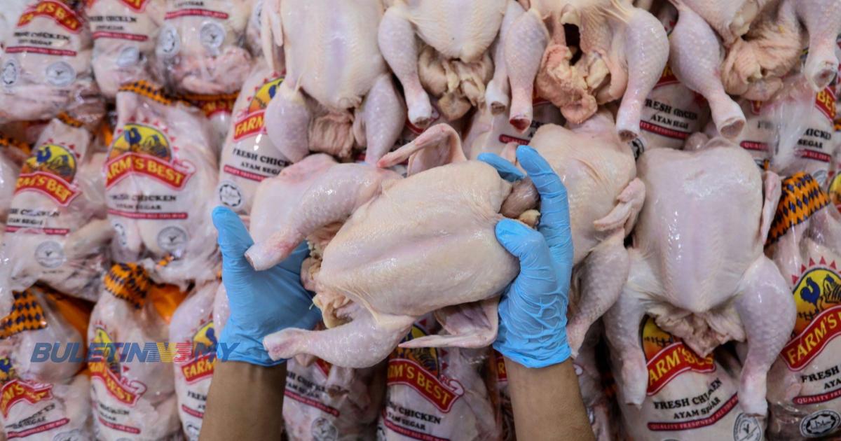 Kerajaan boleh jimat RM3.8 bilion mansuh kawalan harga ayam, telur