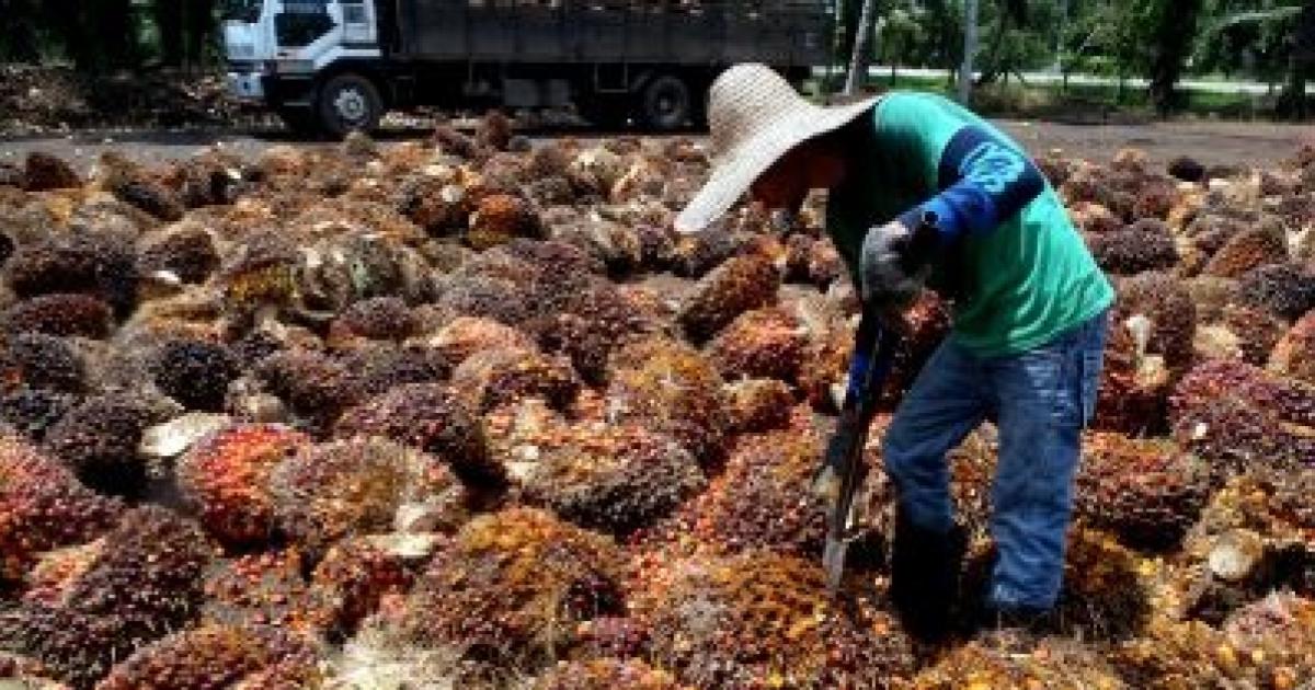 Kilang kelapa sawit didenda RM150,000