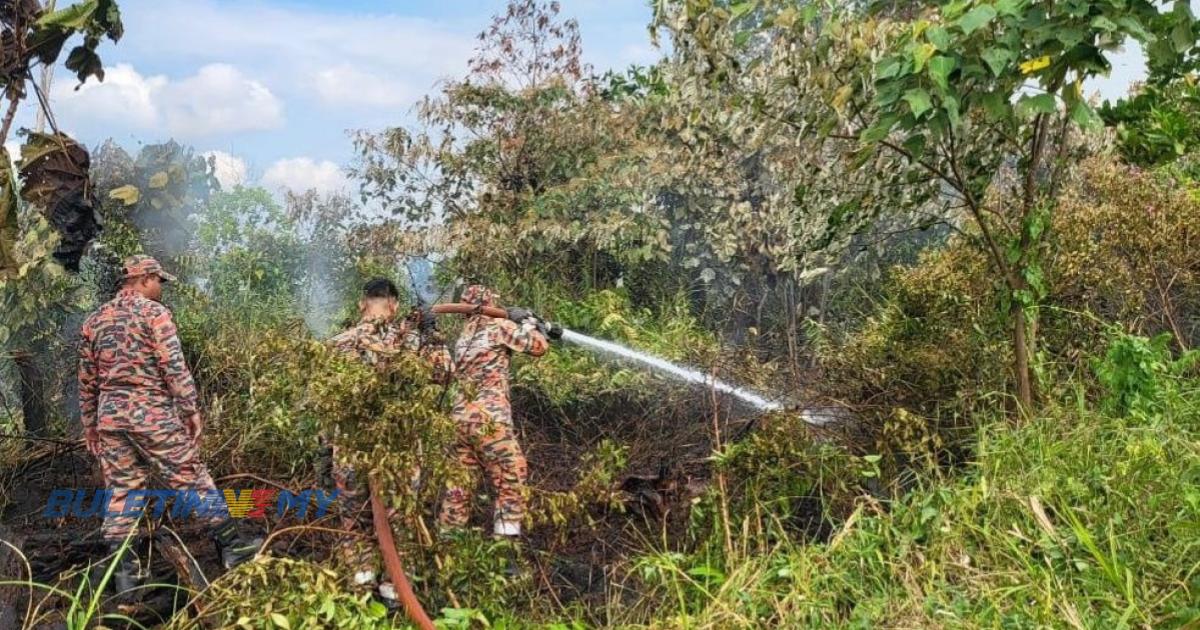 Enam hektar kebakaran hutan di Kuantan dipadamkan JBPM