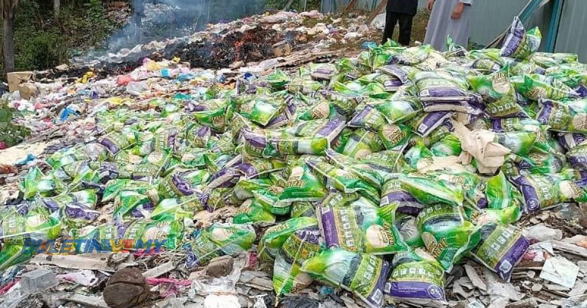 Tular, puluhan kampit beras, sardin dibuang di tapak pelupusan sampah