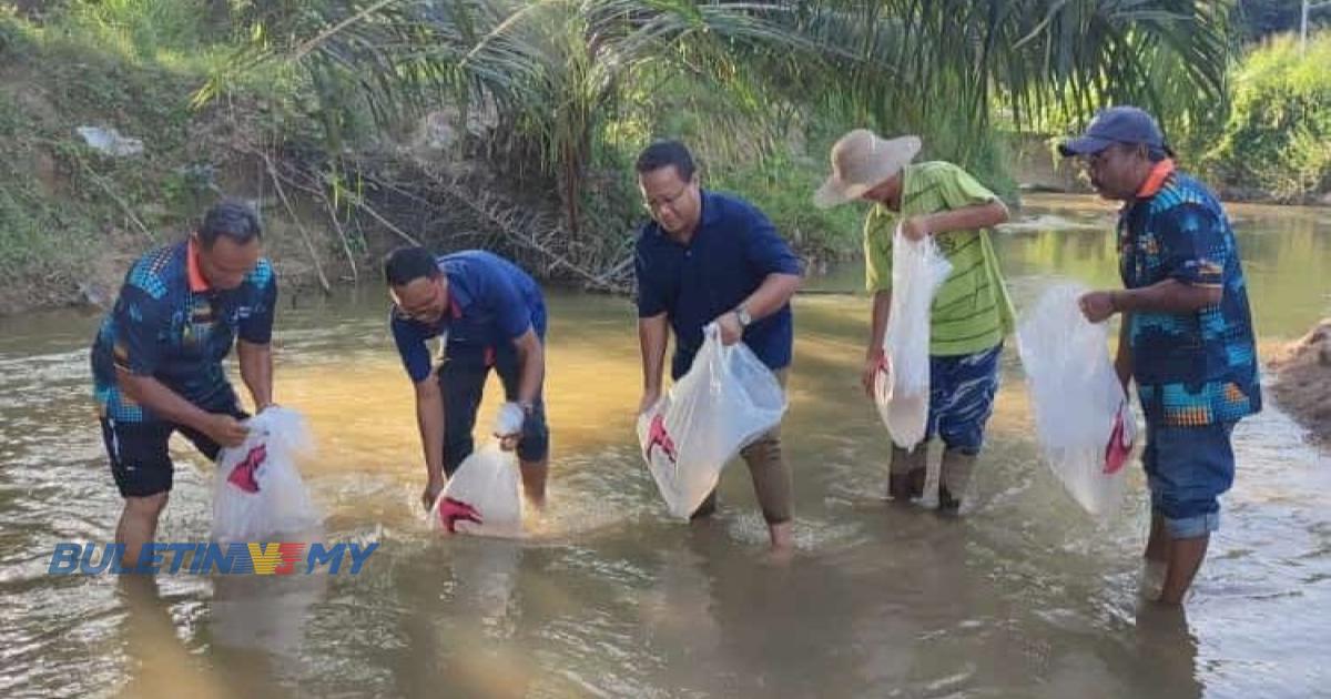 JPNS lepas 105,000 benih ikan, udang galah bantu nelayan darat Negeri Sembilan