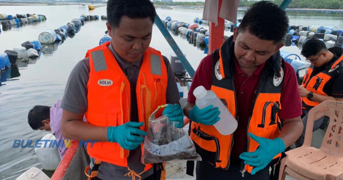 Kupang Johor disahkan selamat untuk dimakan