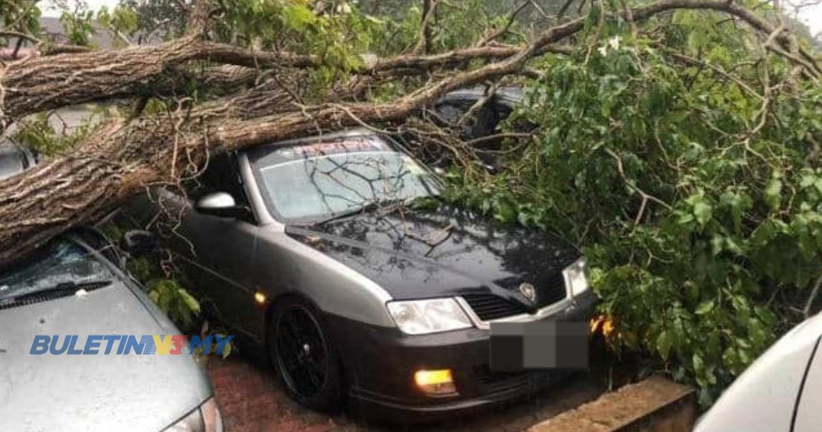 Lima kenderaan rosak di hempap pokok tumbang ketika hujan ribut