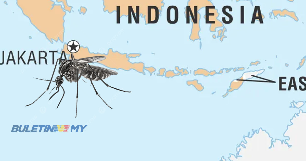 Kematian akibat denggi di Indonesia naik 179%, Bandung daerah tertinggi
