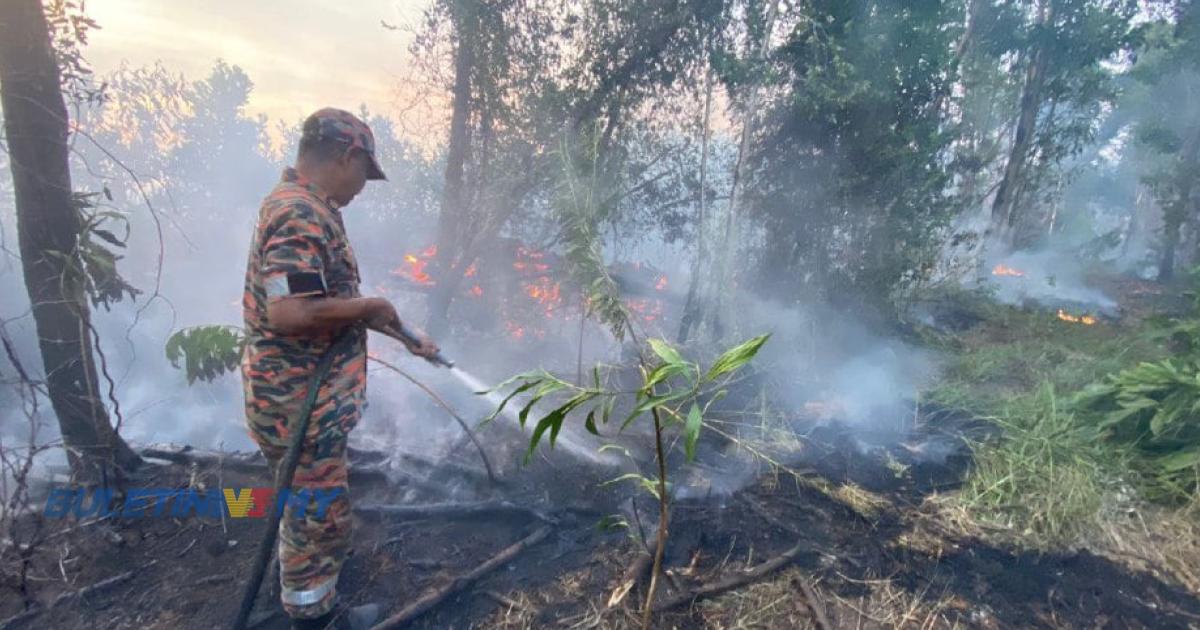 Cuaca panas: Hampir 5 hektar hutan gelam di Besut terbakar