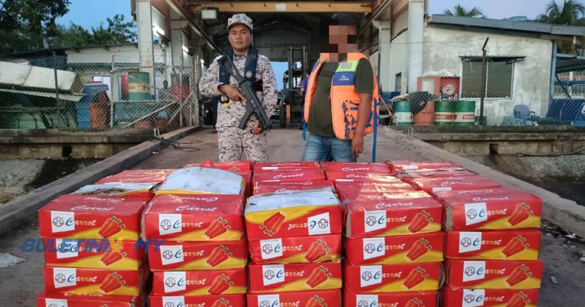Lelaki ditahan, bawa 100 kotak lobak merah tidak sah