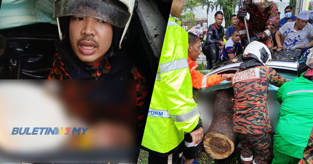 [VIDEO] TERKINI: Kenderaan dihempap pokok tumbang di Jalan Sultan Ismail