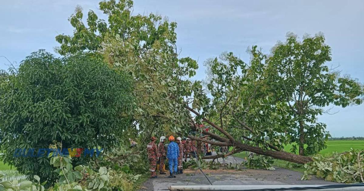 [VIDEO] 55 rumah rosak dalam kejadian ribut di Perlis dan Kedah