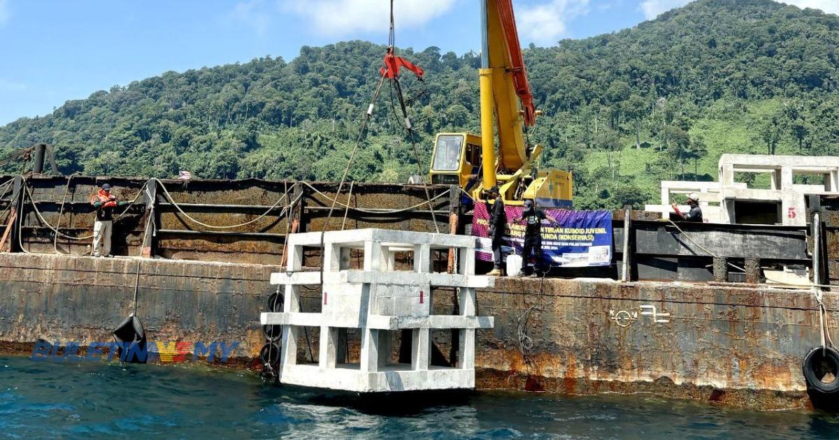 11 tukun tiruan kuboid di perairan Kampung Juara, Pulau Seri Buat