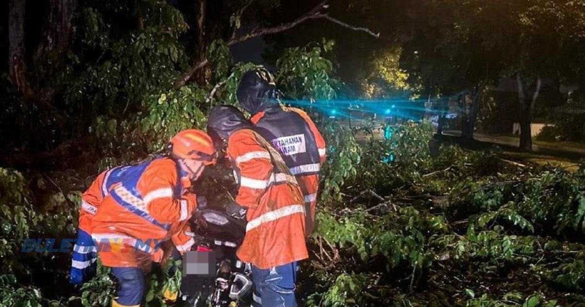 8 kes pokok tumbang, 3 kenderaan rosak, seorang cedera ringan