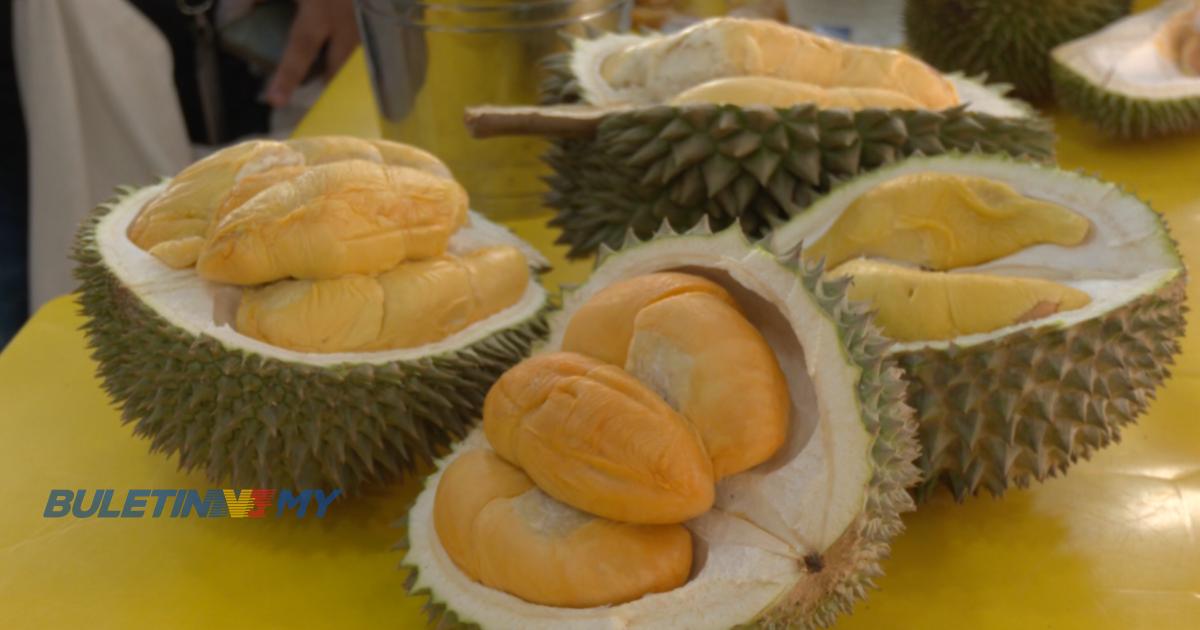 Industri durian: Segmen premium jadi durian runtuh untuk Malaysia?