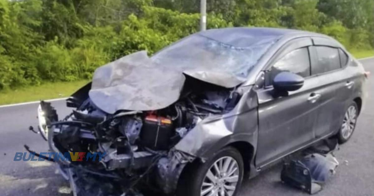 Guru terselamat, kereta dinaiki langgar gajah 