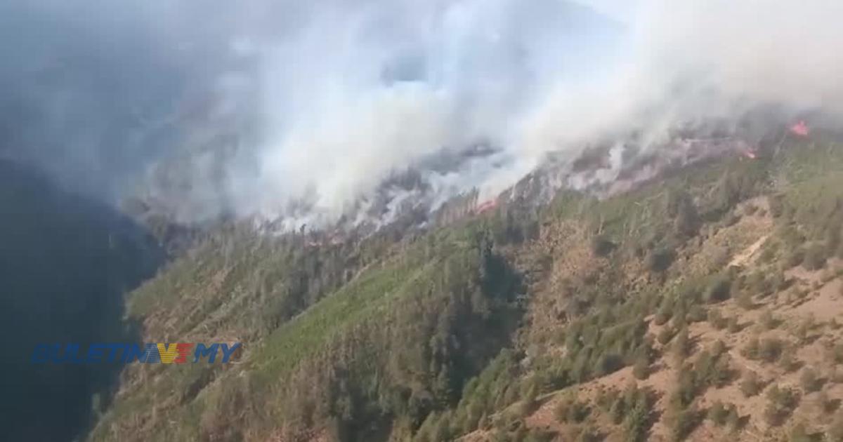 Kebakaran hutan musnahkan hampir 2,600 hektar tanah