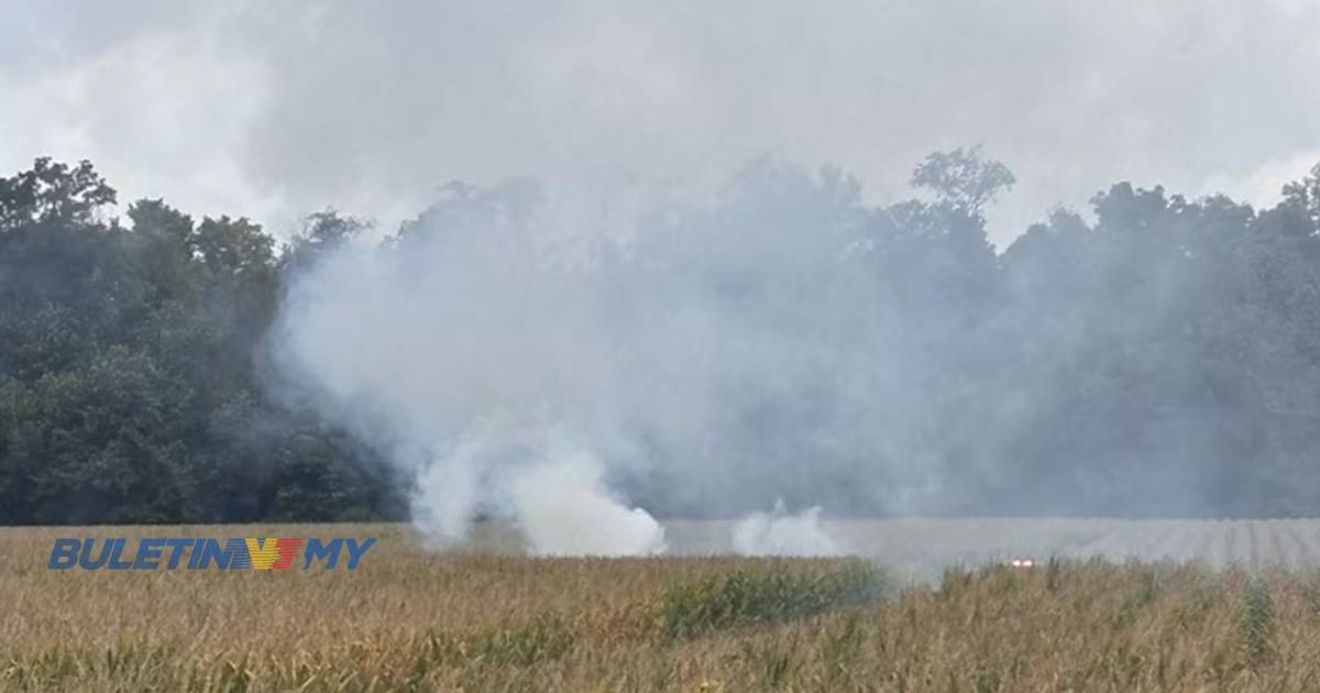 Pesawat enjin tunggal terhempas di Indiana, A.S., 4 maut – Laporan