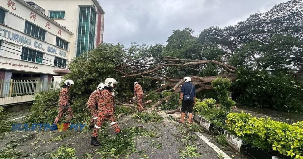 Hampir 200 aduan pokok tumbang di Pulau Pinang dalam tempoh tiga hari