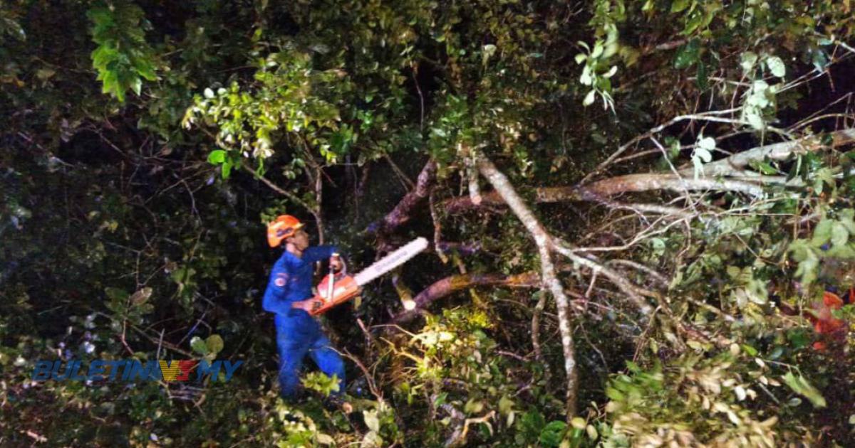 15 kes pokok tumbang dalam tempoh 24 jam di Sik