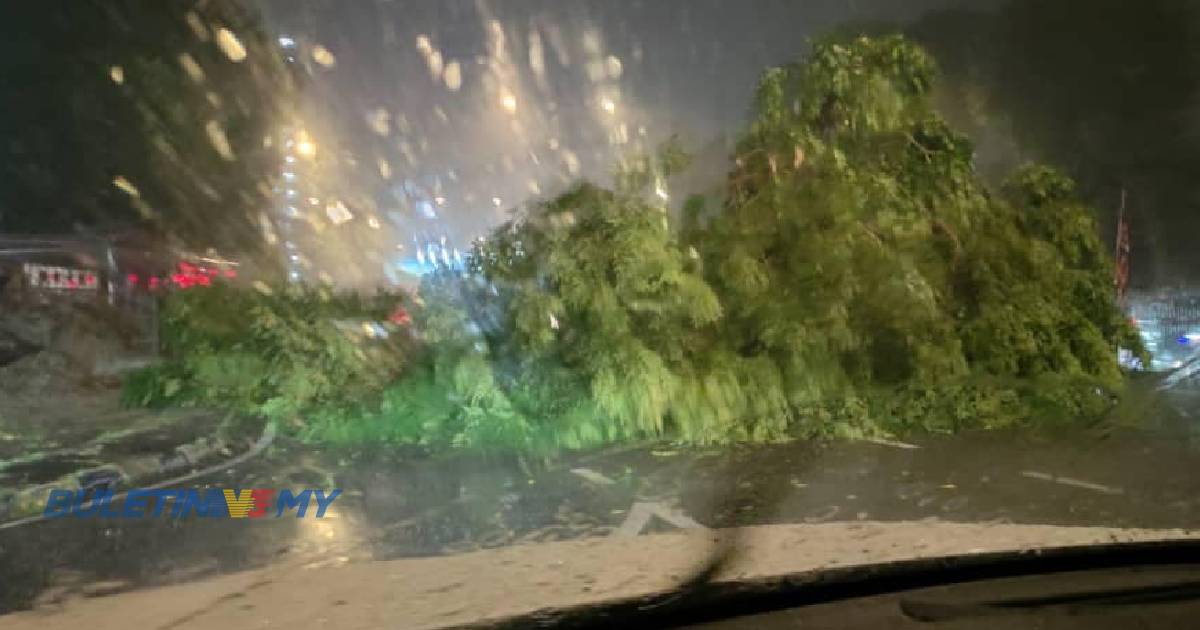 Pokok besar tumbang sekat laluan Jalan CY Choy