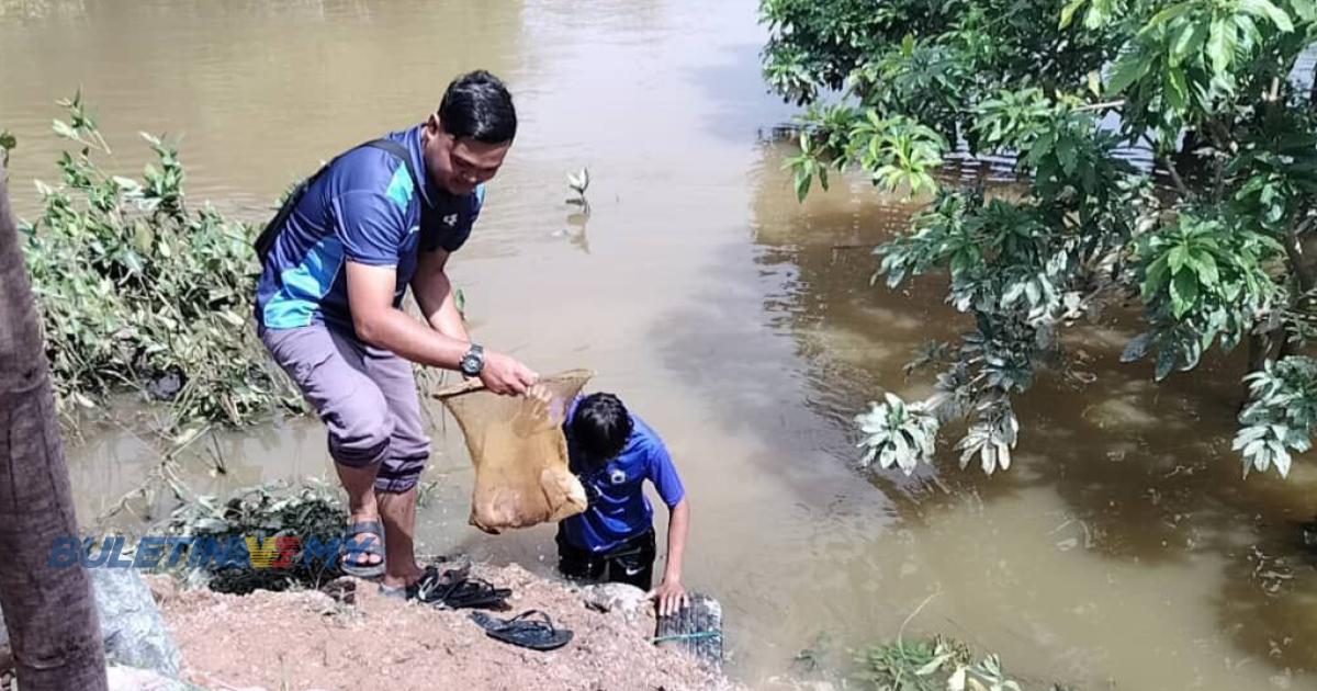 Penduduk gigih tangkap ratusan ikan timbul selepas banjir 