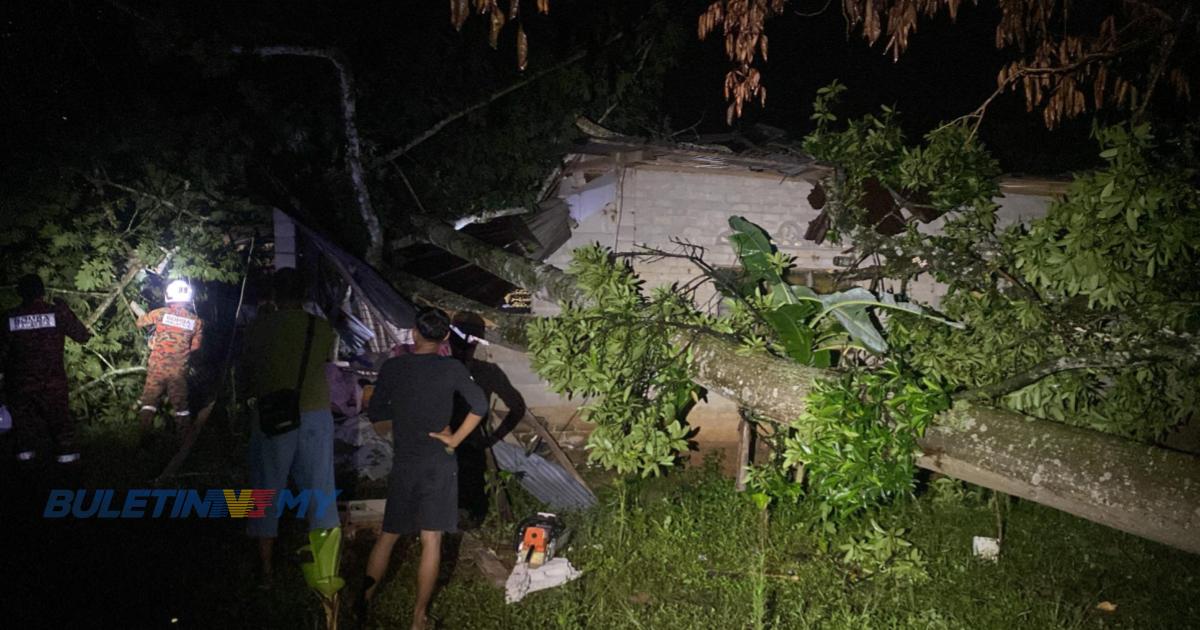 Lelaki cedera parah, pokok tumbang hempap rumah