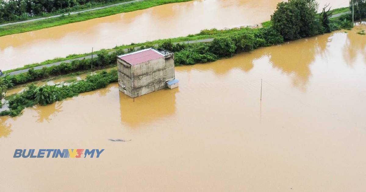 93 pesawah rugi RM2 juta, tidak mampu mulakan tanaman semula