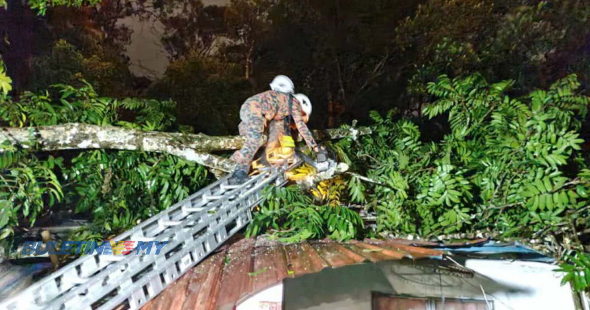 Pokok tumbang hempap rumah, 7 sekeluarga terselamat