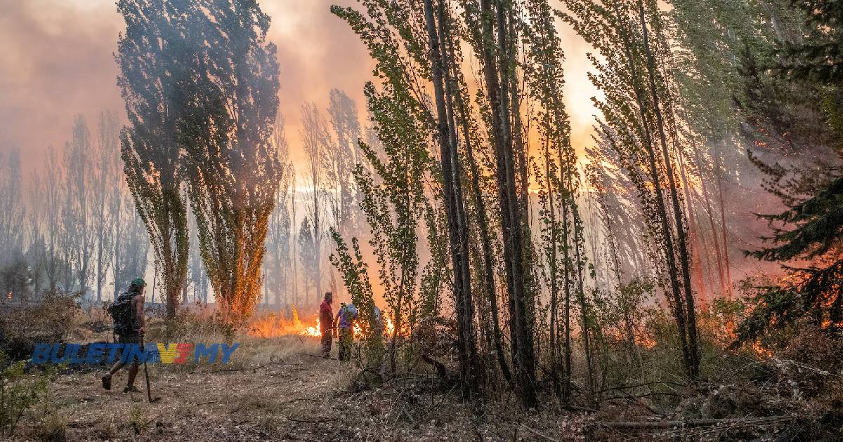 Kebakaran hutan memaksa puluhan penduduk meninggalkan kediaman di Argentina