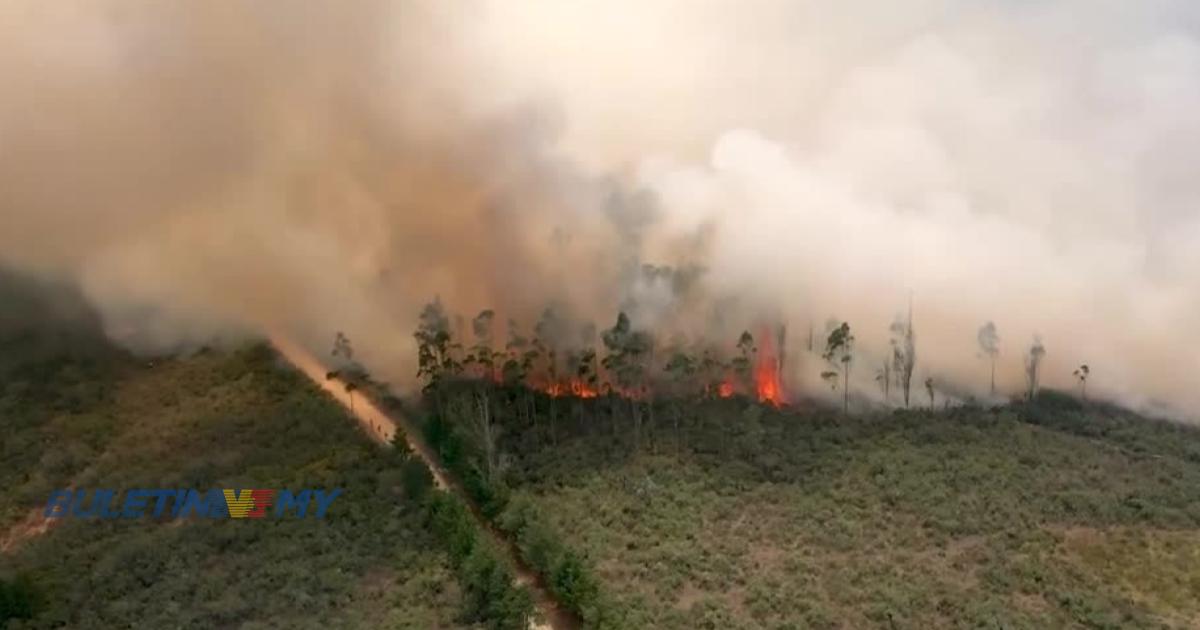 Sekurang-kurangnya 15 terbunuh dalam kebakaran hutan di Peru