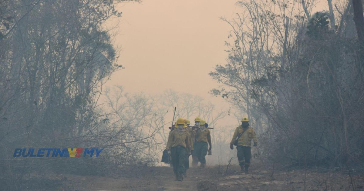 Bolivia isytihar darurat negara akibat kebakaran hutan