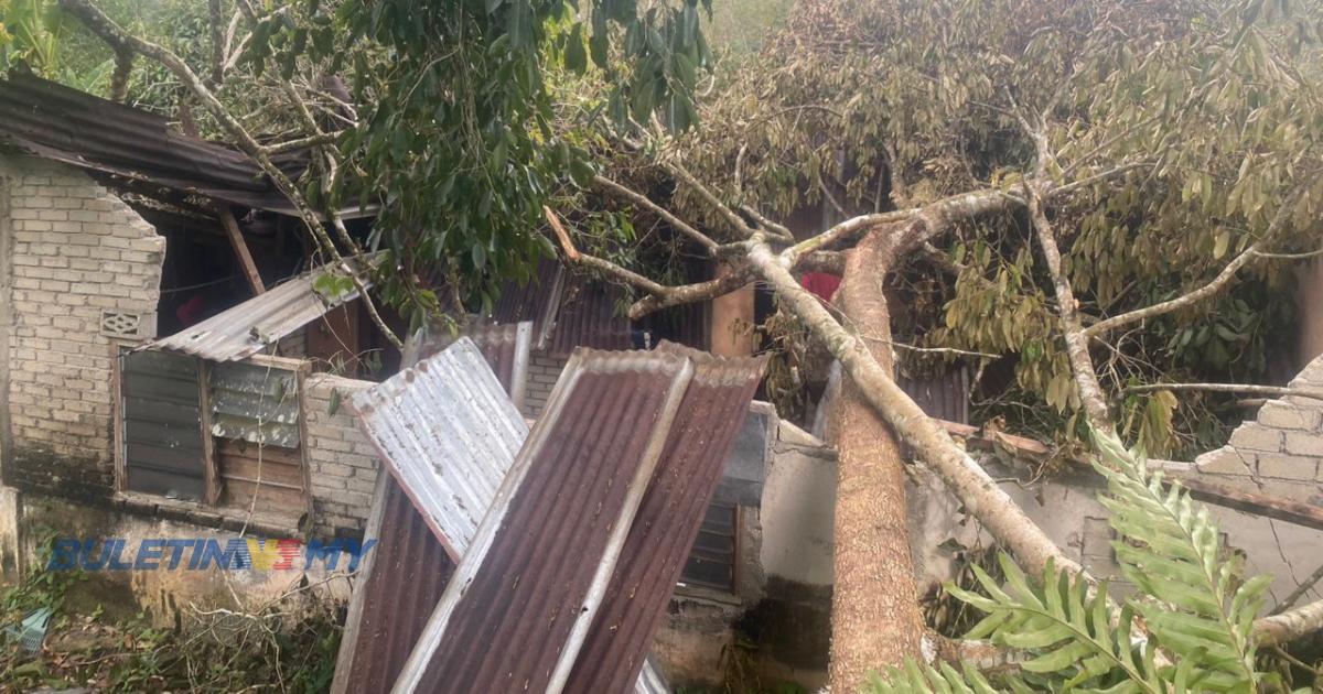 Rumah ranap dihempap pokok tumbang akibat ribut