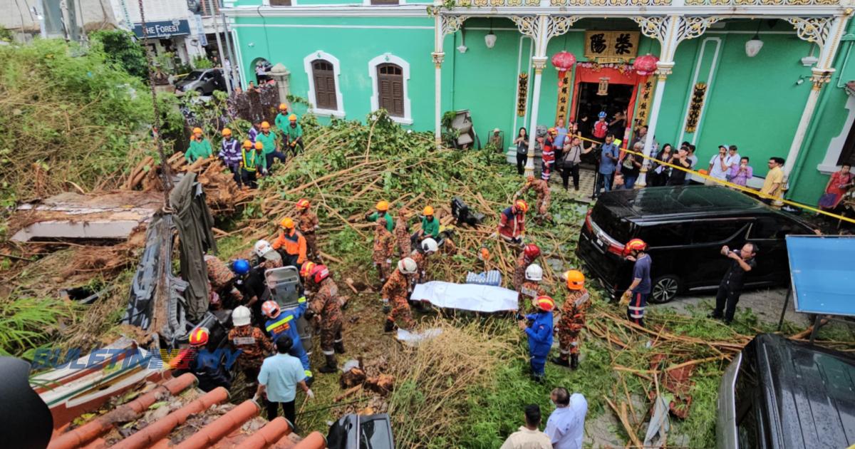 2 maut pokok tumbang atas kereta, mangsa dipercayai pelancong China