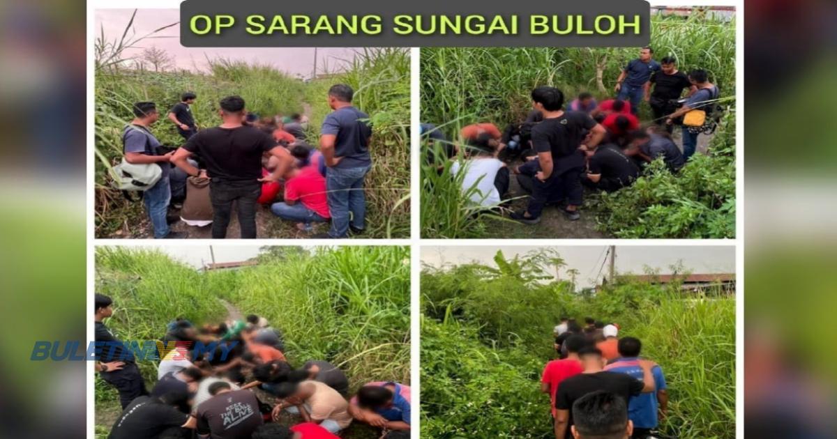 23 penagih sedang khayal dalam semak-samun ditahan