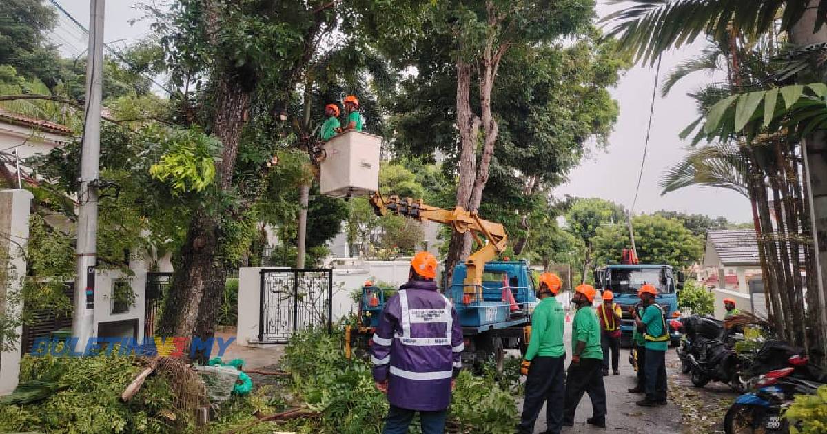 70 peratus pokok tumbang di Pulau Pinang selesai dibersihkan