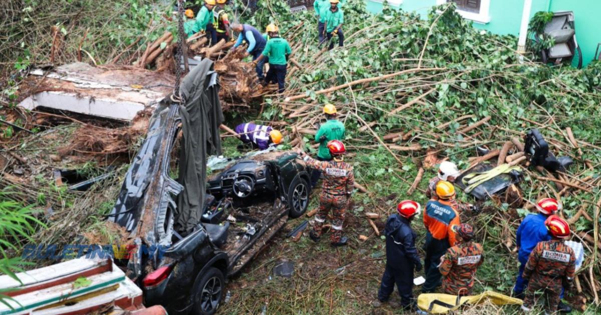 Dua beranak pelancong warga China maut, pokok tumbang hempap kereta 