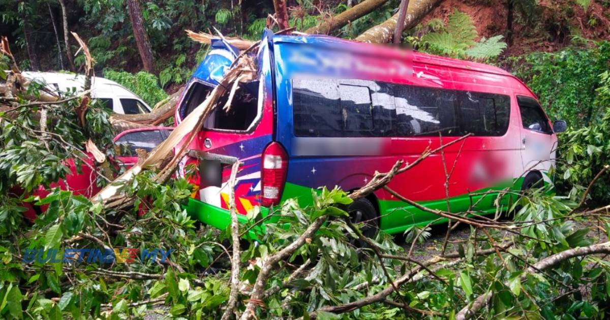 Lima kenderaan dihempap pokok tumbang di Genting Highlands