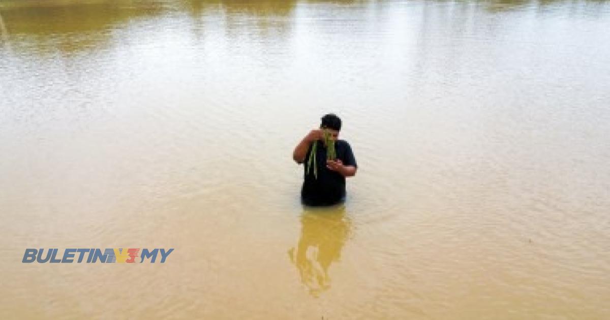 Banjir di Kedah makin buruk, mangsa terus meningkat kepada 6,087 orang