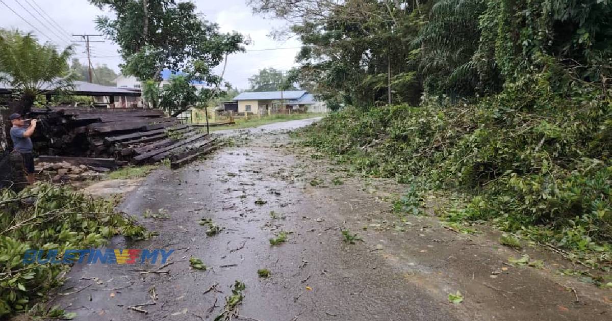 33 kes pokok tumbang di Sabah sejak 5 hari lalu