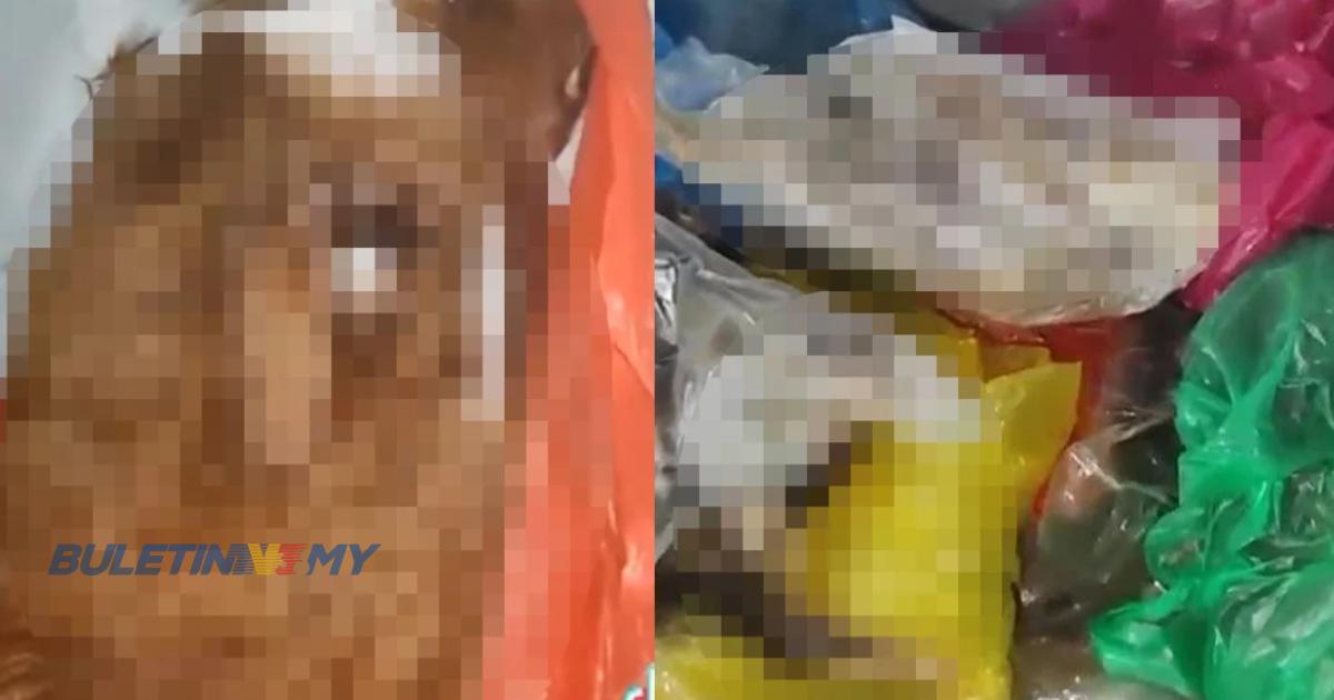 Video tular bangkai haiwan dalam peti sejuk, disahkan kes lama – DVS Pulau Pinang