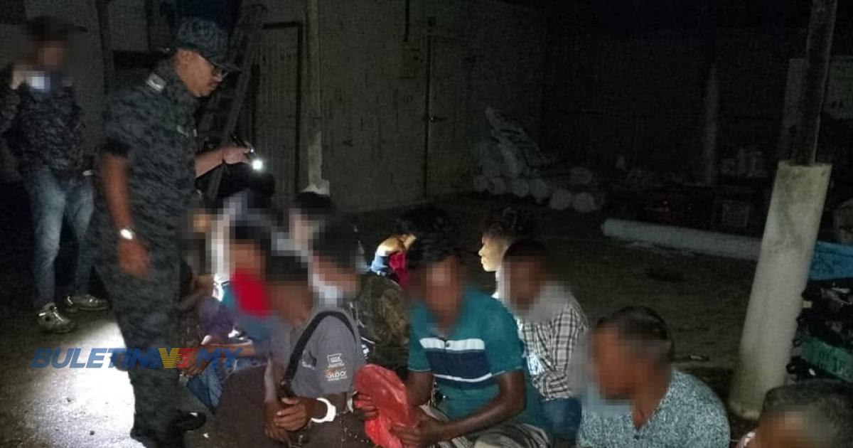 Imigresen Kelantan gempur Tanah Tinggi Lojing, tahan 86 pendatang tanpa izin