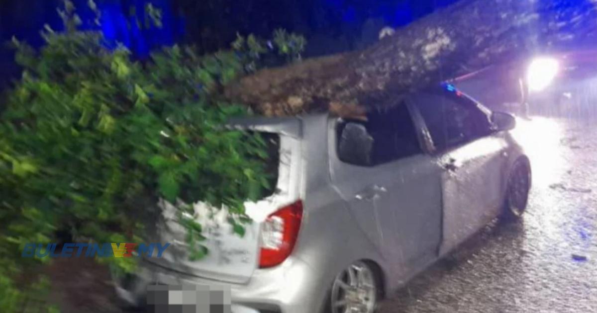 Wanita selamat, kereta dihempap pokok tumbang